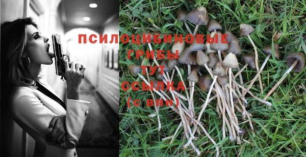 герыч Лиски